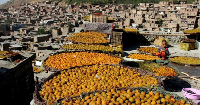 خرو ، روستای بام های طلایی